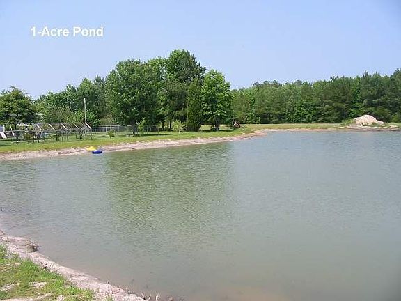 1-Acre Pond