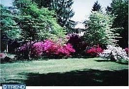2nd image of 3007 Azalea Ter