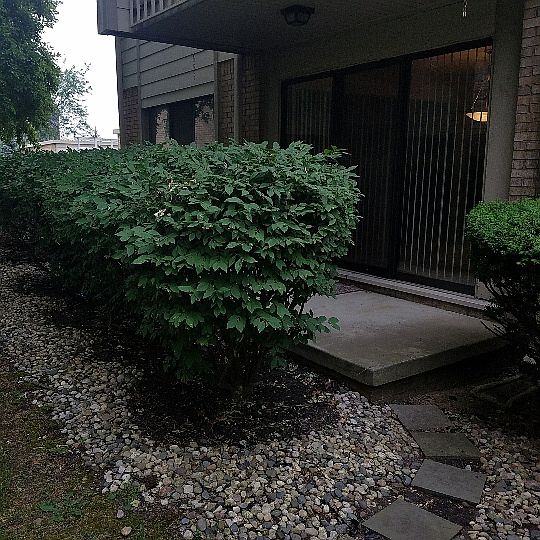 2nd image of 22300 Lucerne Dr APT 101