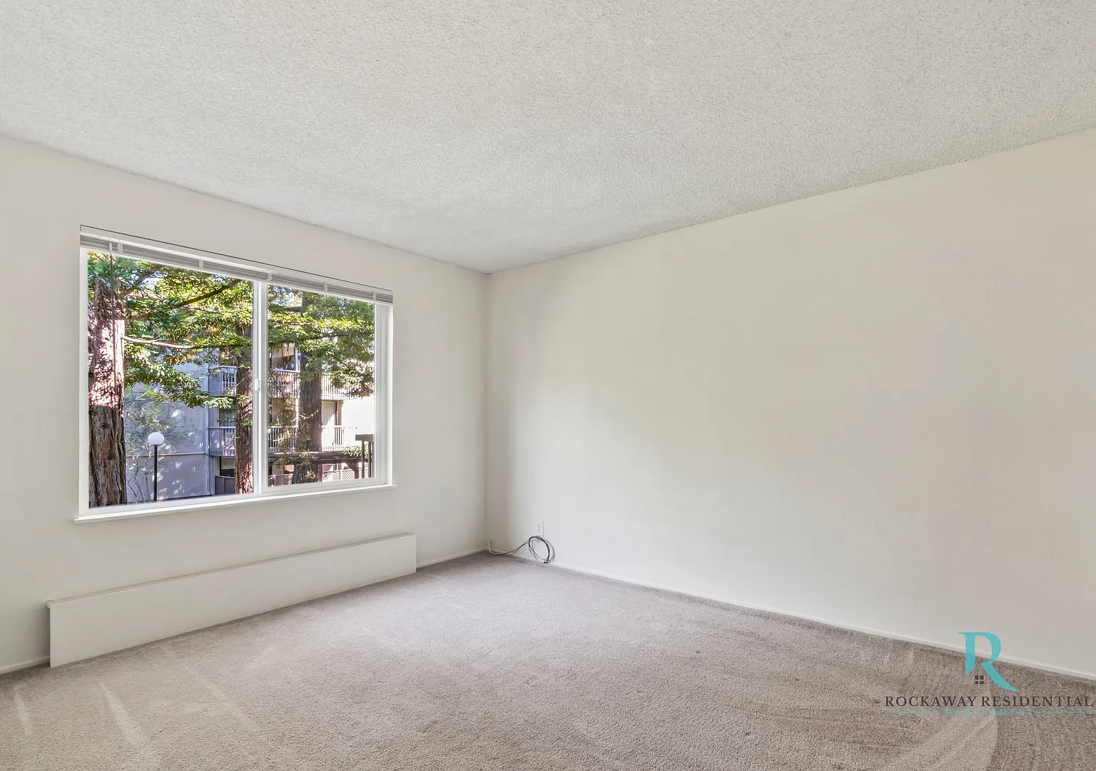 2206 Shelter Creek Ln. — Photo 4