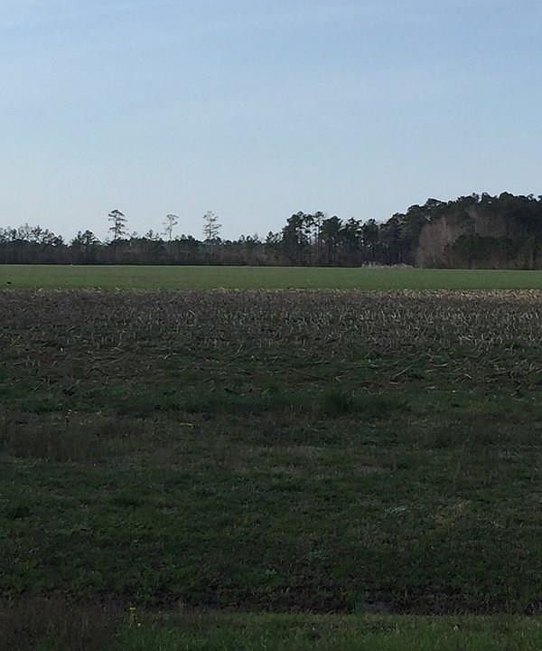 1st image of 218 Poyners Road LOT 2