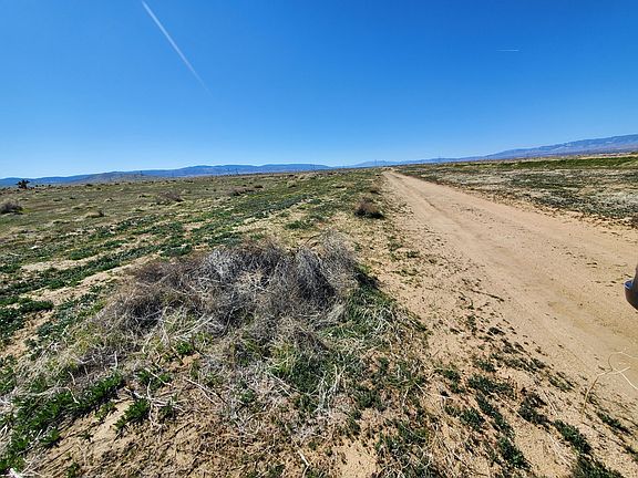 4th image of Avenue C Vic Stw #134