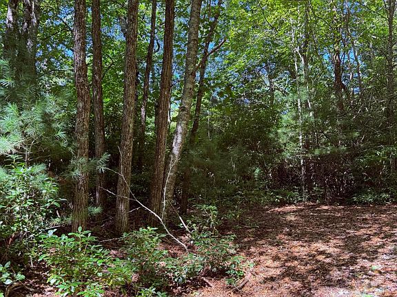 3rd image of Lot 12 Holly Ridge Drive