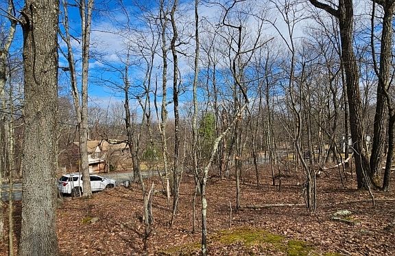 5th image of 00 Upper Hibernia Rd