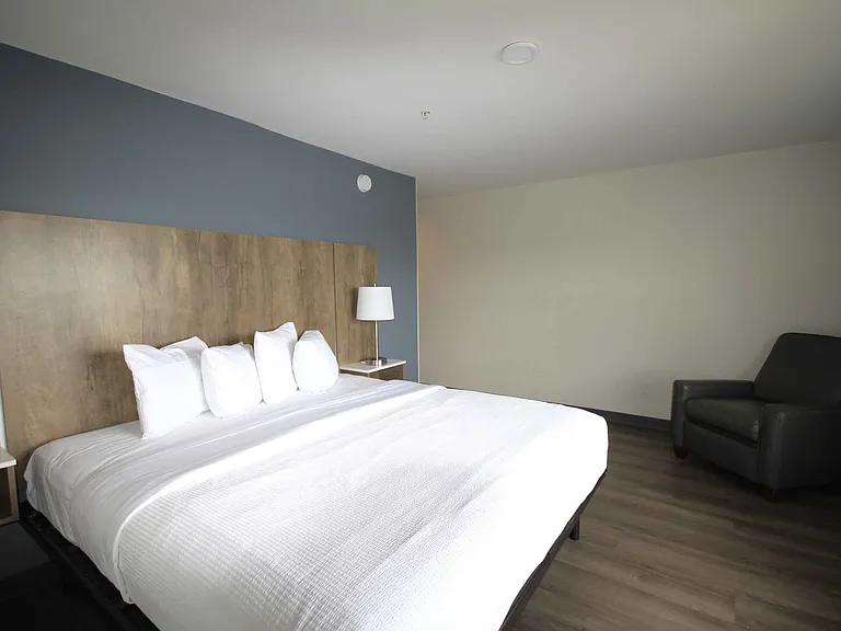 1 Bedroom Suite - 1 King Bed