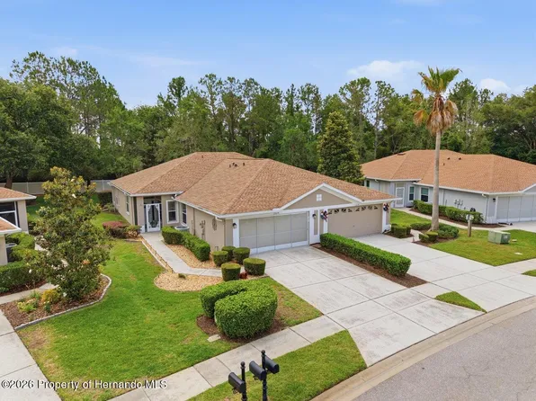 15028 Silversmith Cir, Spring Hill, FL 34609