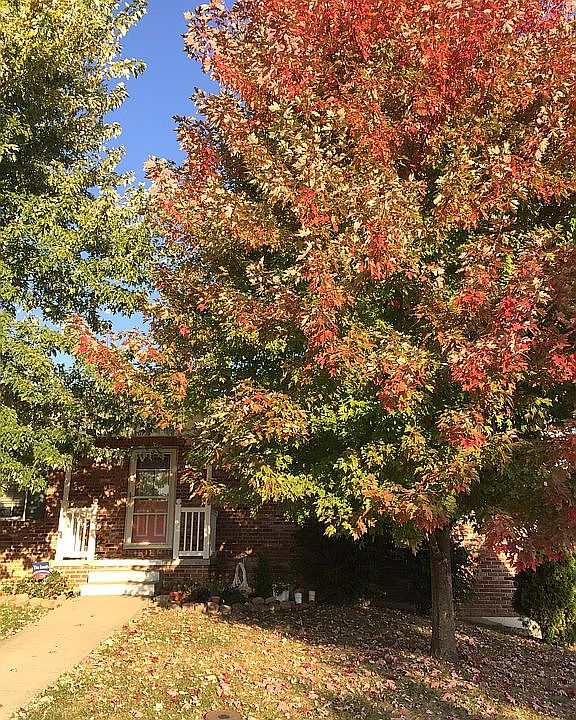 2nd image of 1615 Amanda Dr