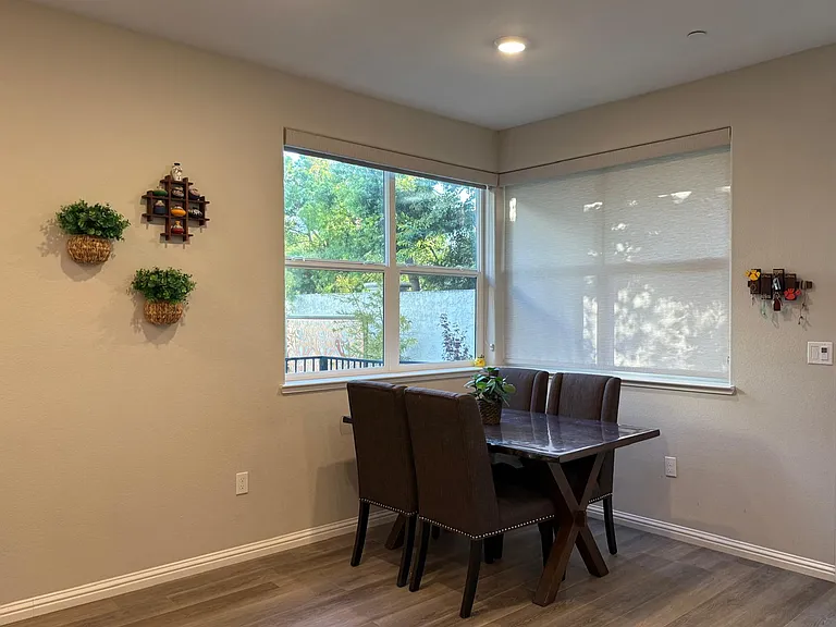 40665 Squill Cmn — Photo 5