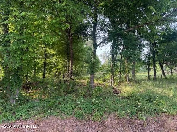 LOT 1 Slocum Rd, Hernando, MS 38632