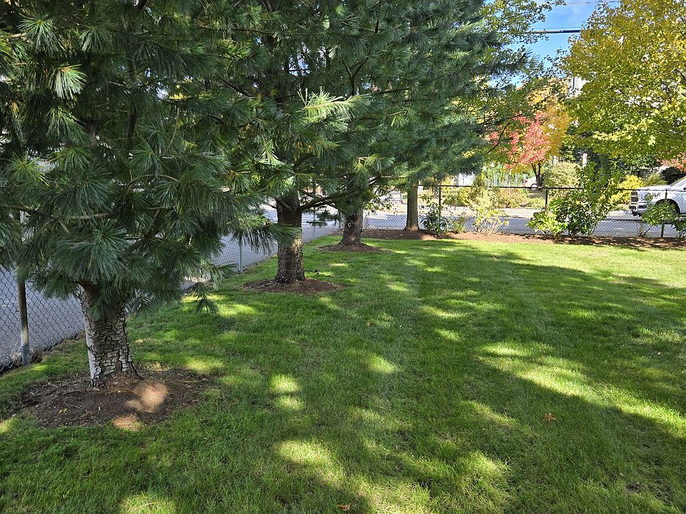 way-back yard