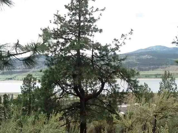 42385 Deer Heights Dr N, Deer Meadows, WA 99122