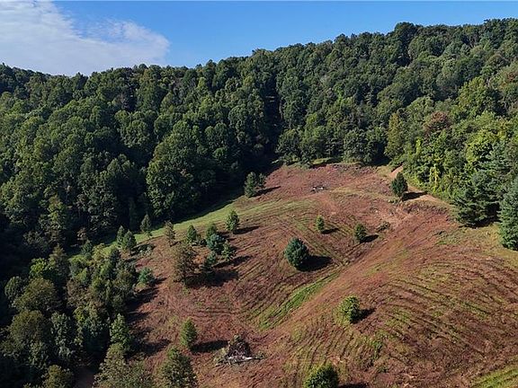 3rd image of LOT 105 Irwin Grocery Rd