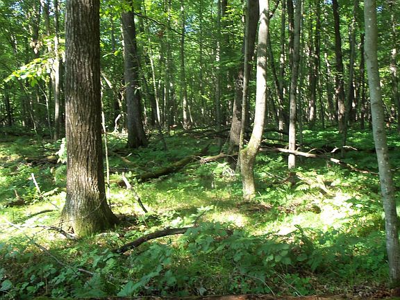 3rd image of LOT 3 Howard Johnson Trl