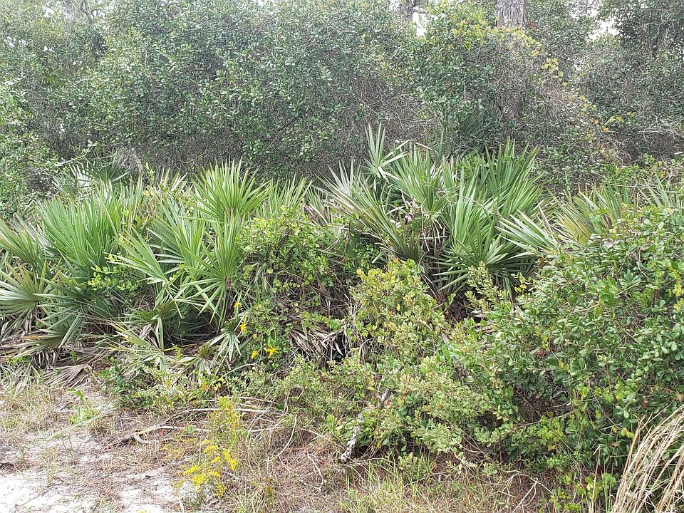 2nd image of 2325 94th Avenue