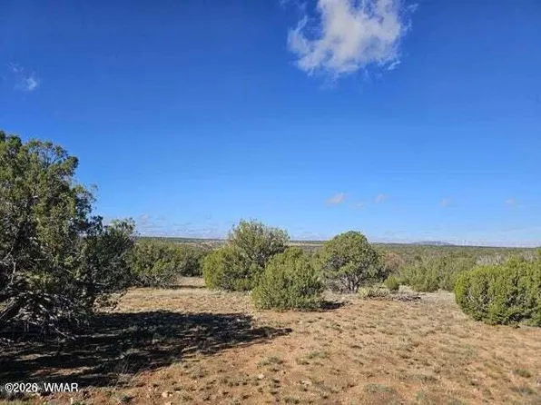 1725 McAllister Ave, Heber, AZ 85928
