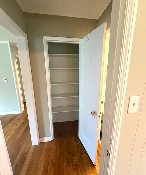 106 Margaret St #B — Photo 10