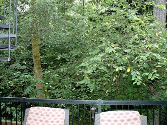 Privacy! Backs to woods