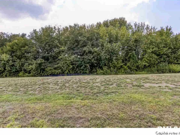 323 Ramblewood Dr, Chatham, IL 62629