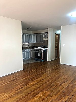 5th image of 1121 E 95th St #1