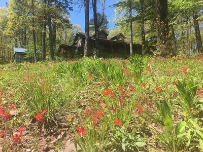 17242 Highway 16 W, Clinton, AR, 72031
