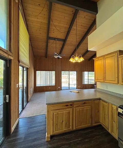 29641 Jamaica Dunes Dr — Photo 17