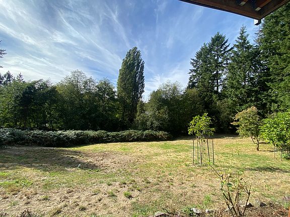 view from kitchen/living room- fruit trees, roses