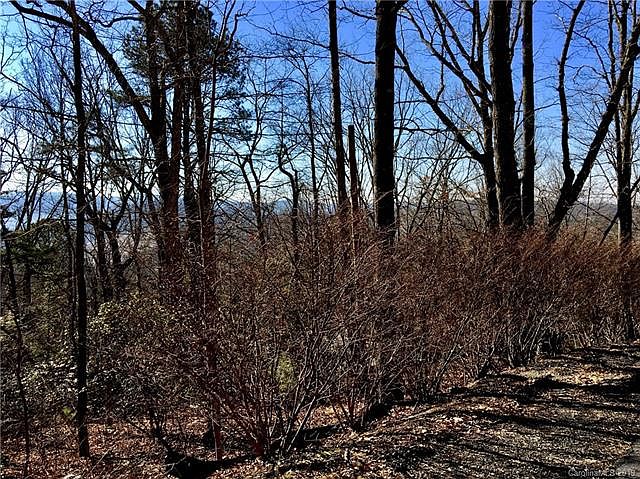 2nd image of 69 Flat Top Mountain Rd