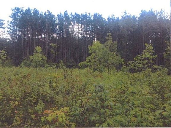 4th image of 6730 Pinehill Dr