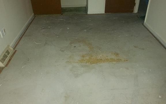 5th image of 166 Clifton Dr