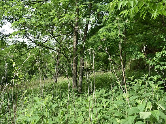4th image of 0 Brooks Bend Ln Lot 1