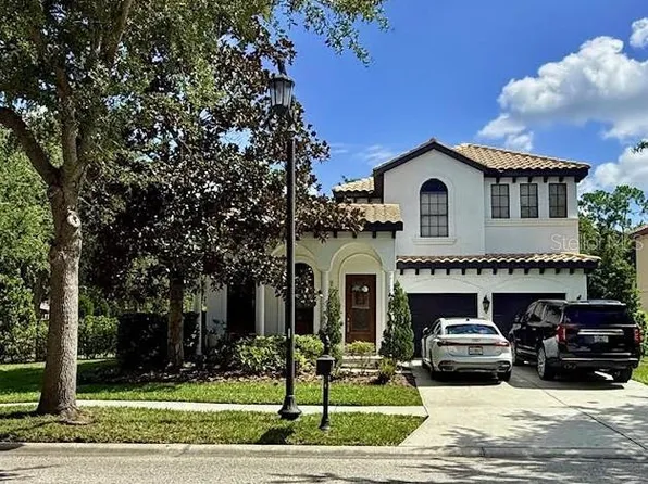 20302 Chestnut Grove Dr, Tampa, FL 33647