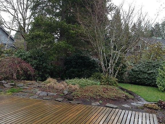 Large fenced backyard