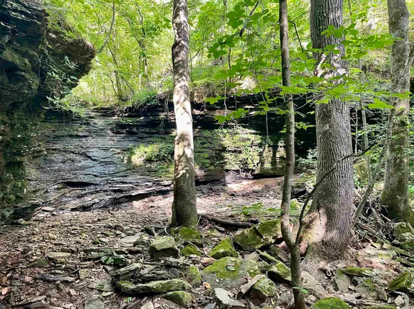 (undisclosed Address), Edgemont, AR 72044