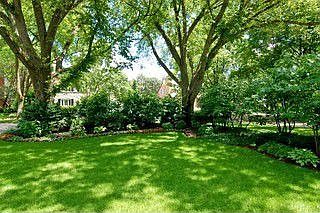 Front Yard