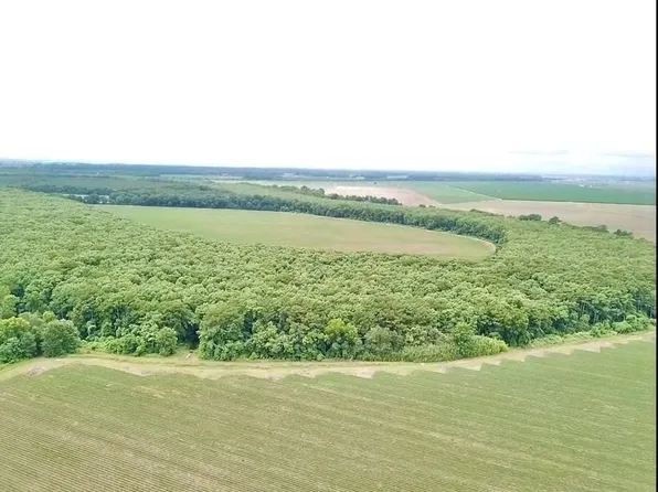 Harp Ln, Bonita, LA 71223