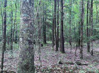 Shiloh Church Rd, Newton, MS 39345