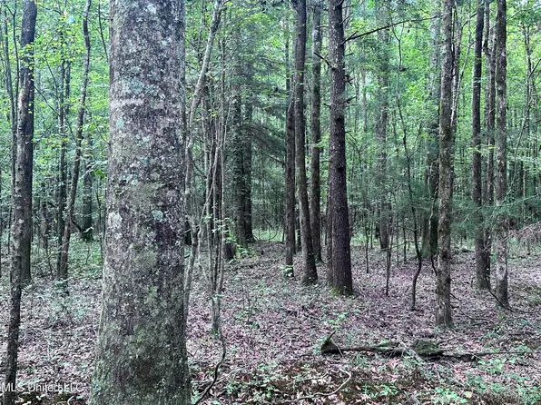 Shiloh Church Rd, Newton, MS 39345