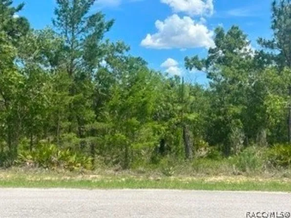 20 Smilax Ct N, Homosassa, FL 34446