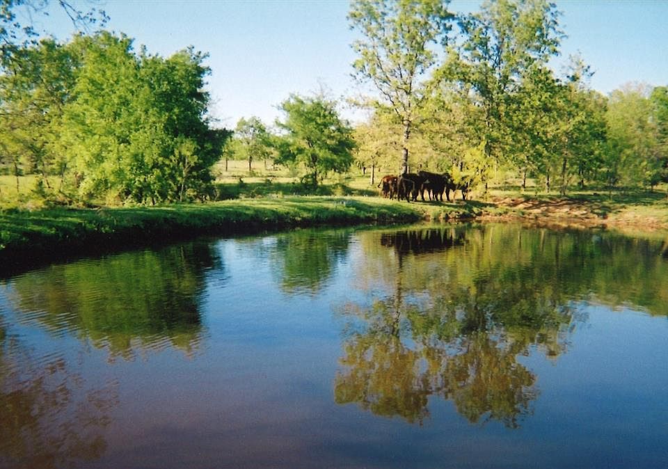 1st image of 340 County Road 4341