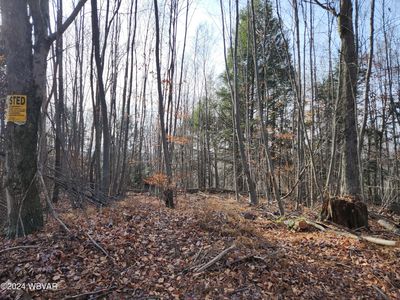 Pole Bridge Rd Lot 37, Laporte, PA, 18626