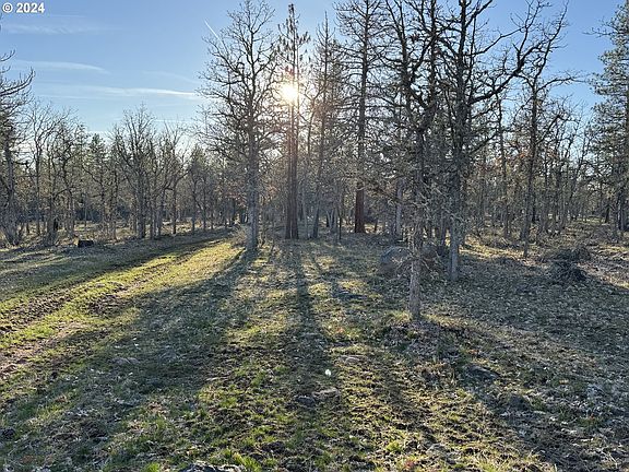 4th image of Piney Woods #2