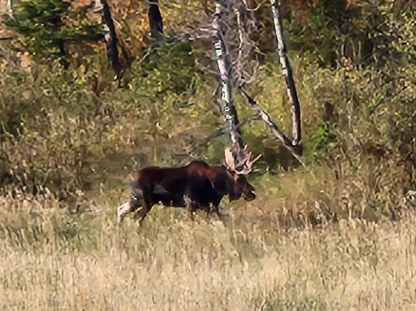 Nhn Chestnut Rd, Bozeman, MT 59715