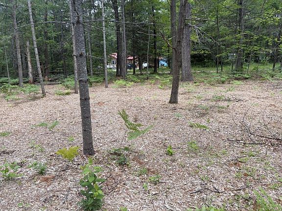 5th image of 10604 River Rd