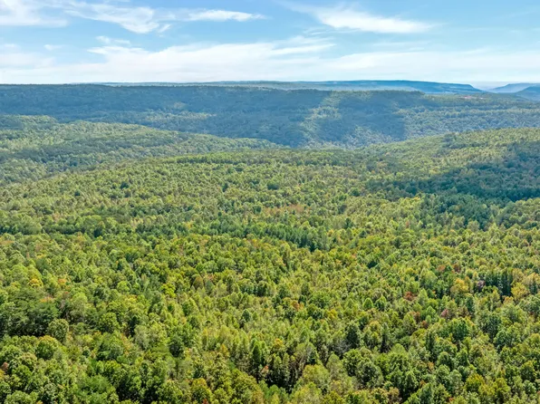 0 Palmer Firetower Rd, Whitwell, TN 37397