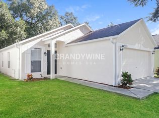 30626 Double Dr, Wesley Chapel, FL 33545