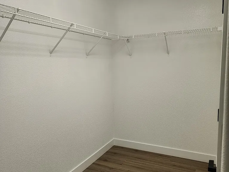Master walk-in closet downstairs