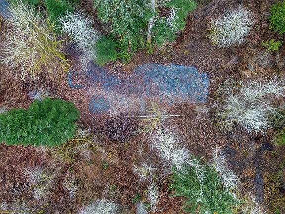 5th image of 0 Mosquito Lake Road