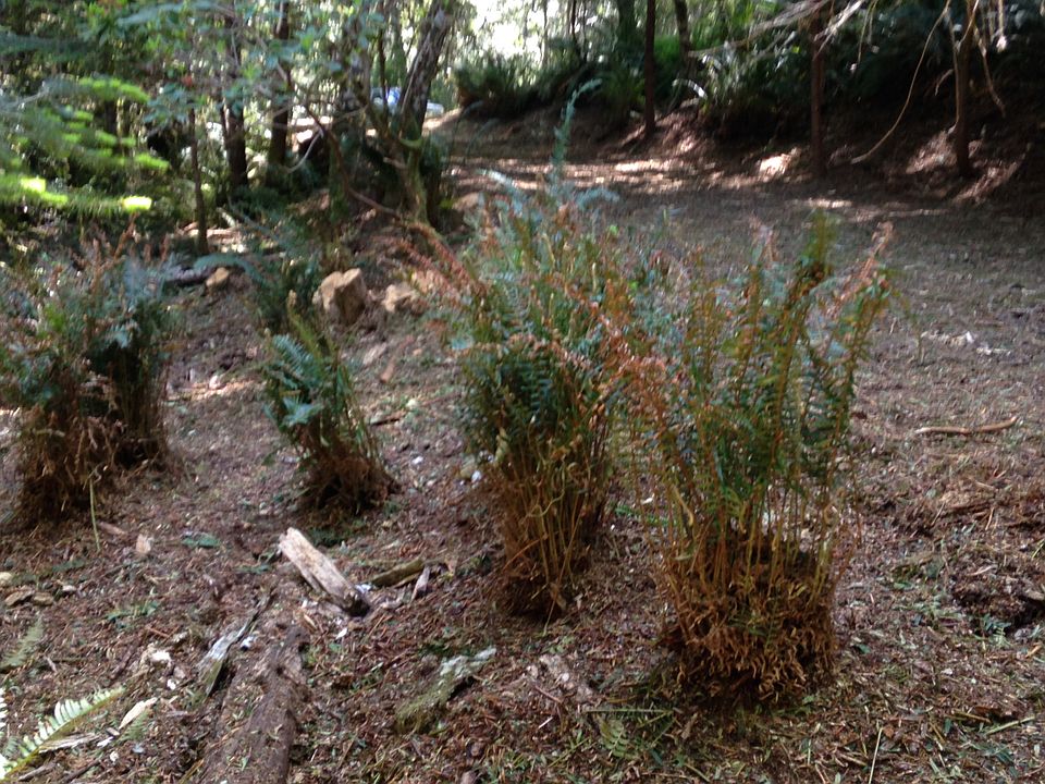 Agness Rd, Gold Beach, OR 97444 Zillow