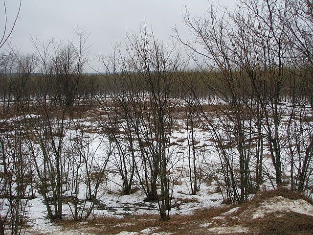 2nd image of 60285 303rd St