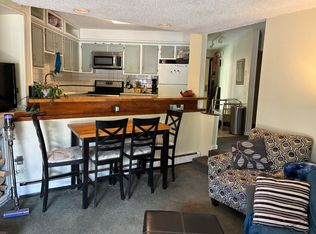 550 S French St #104, Breckenridge, CO 80424